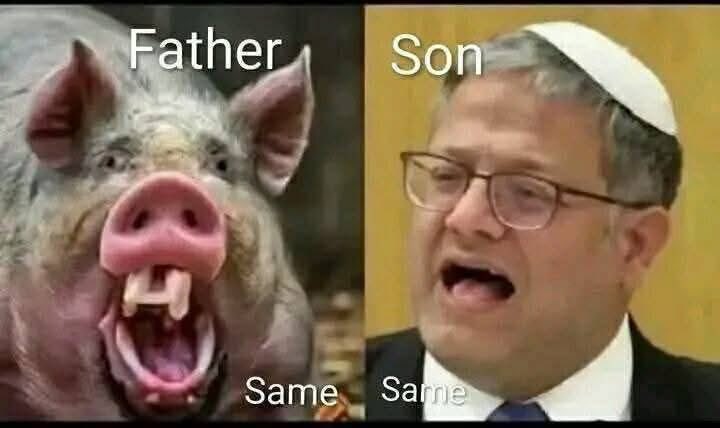 #Proud anti Zionist 🔻 🍉 🇵🇸 tweet media