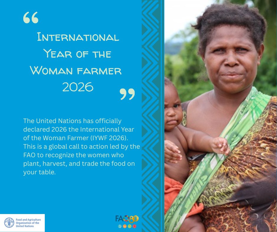 FAO Papua New Guinea tweet media