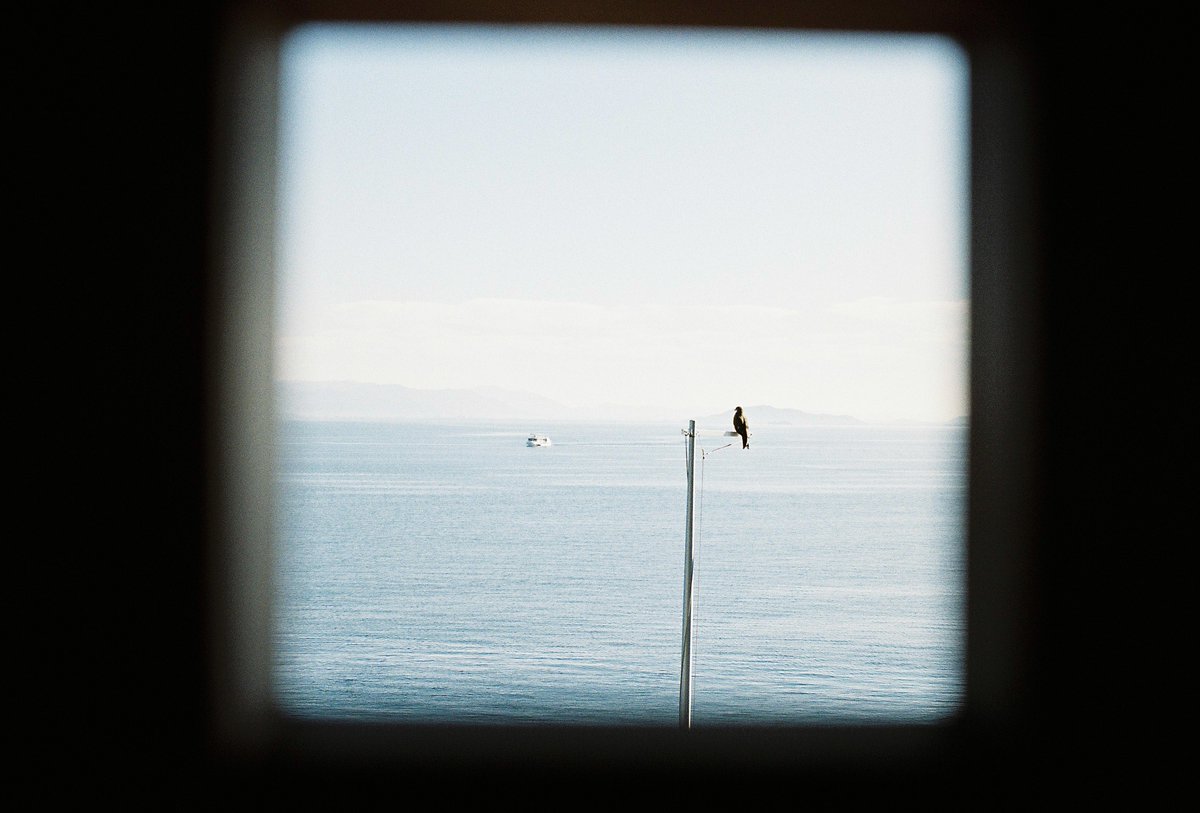 いろは (@kafkaonthe_) on Twitter photo 
