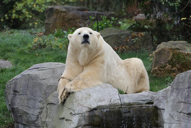 Elbert Schwalbe tweet media