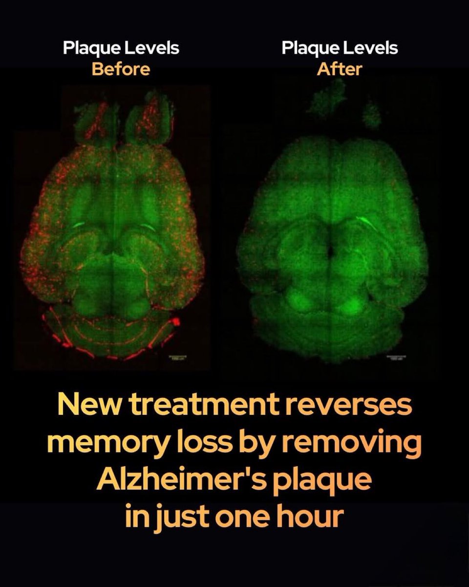 распад и неуважение tweet media