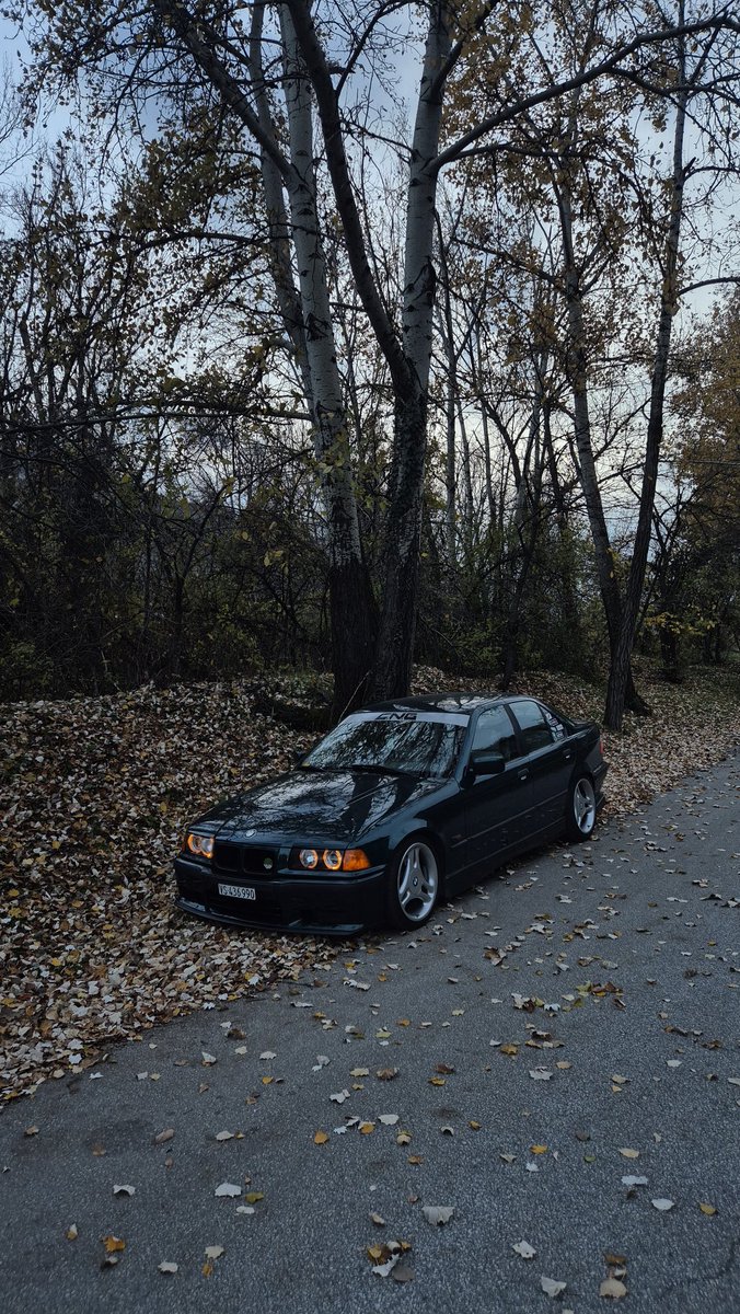 Tched🐲⚔️ tweet media