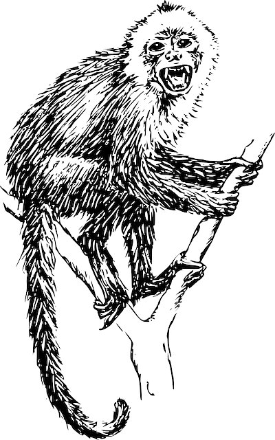 Chemo Seawell tweet media