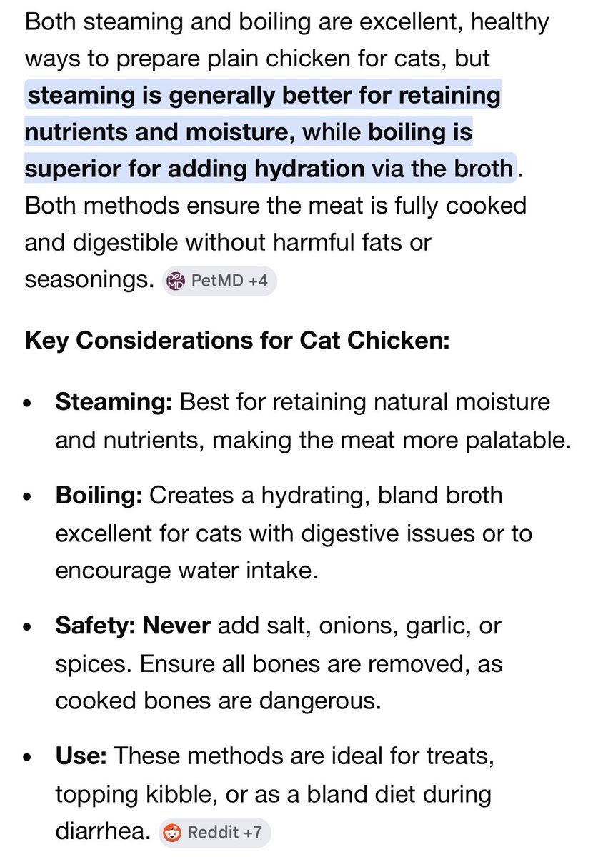 Momo and other cats 🐱 tweet media