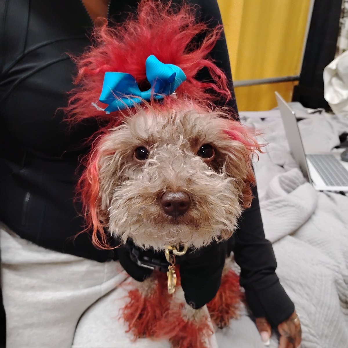 the real Orwell Huxley tweet media