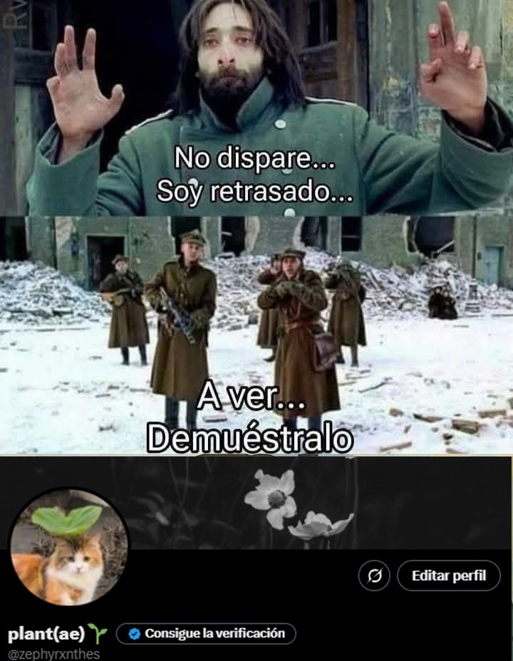 plant(ae)🌱 tweet media