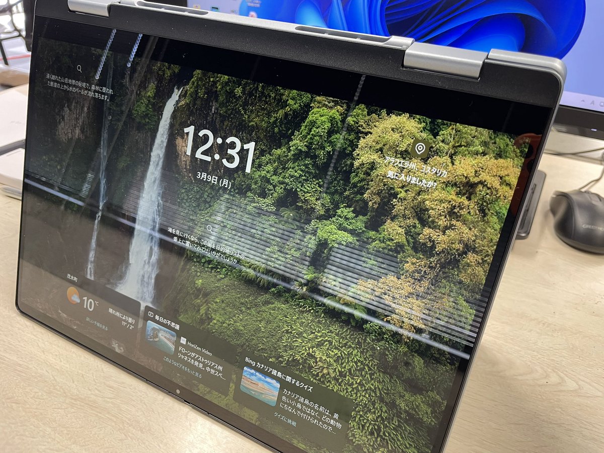 まきぼっくり tweet media