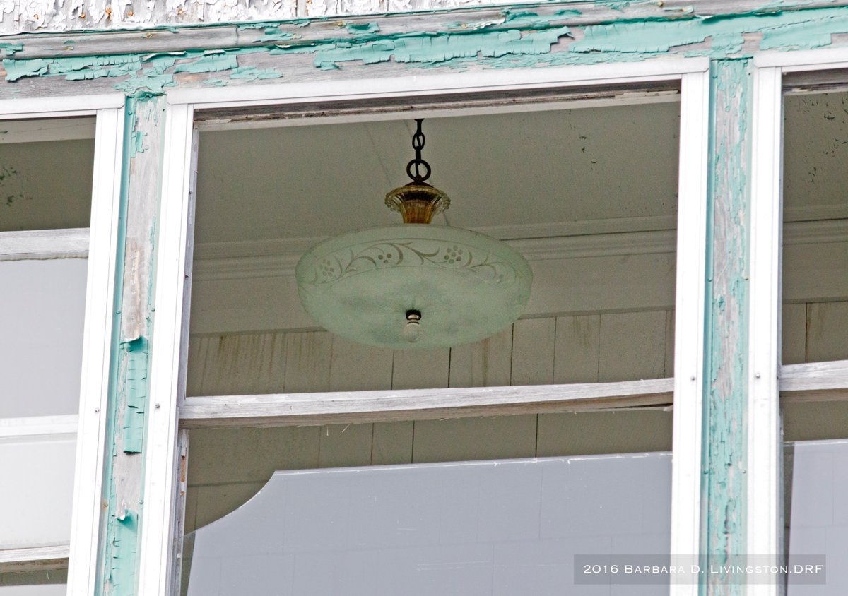 Barbara D. Livingston tweet media