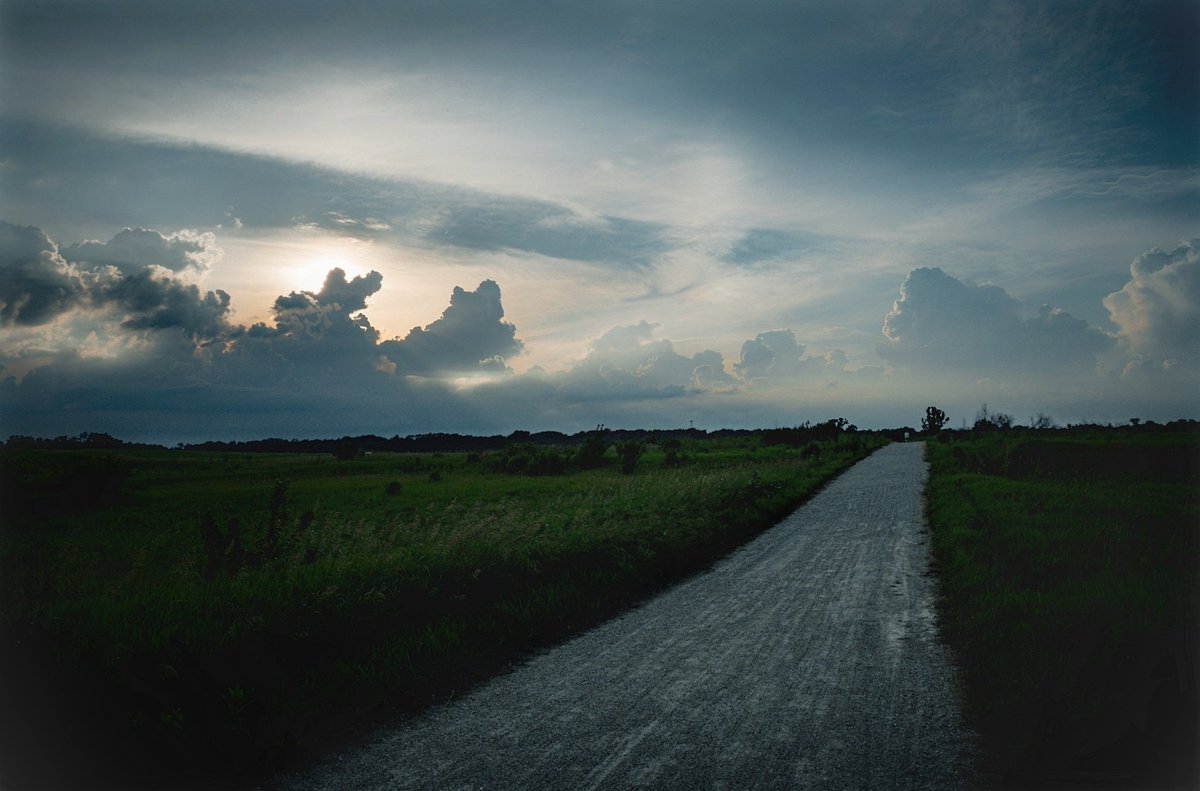 The cure for pain
  is in the pain ...

- Rumi