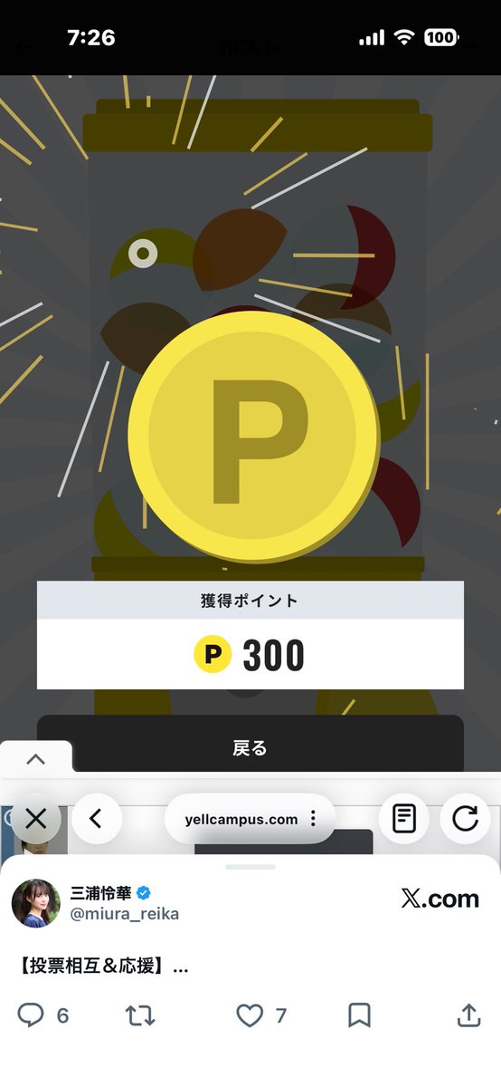 🐾Ange & Elf 🐾 STAFF tweet media