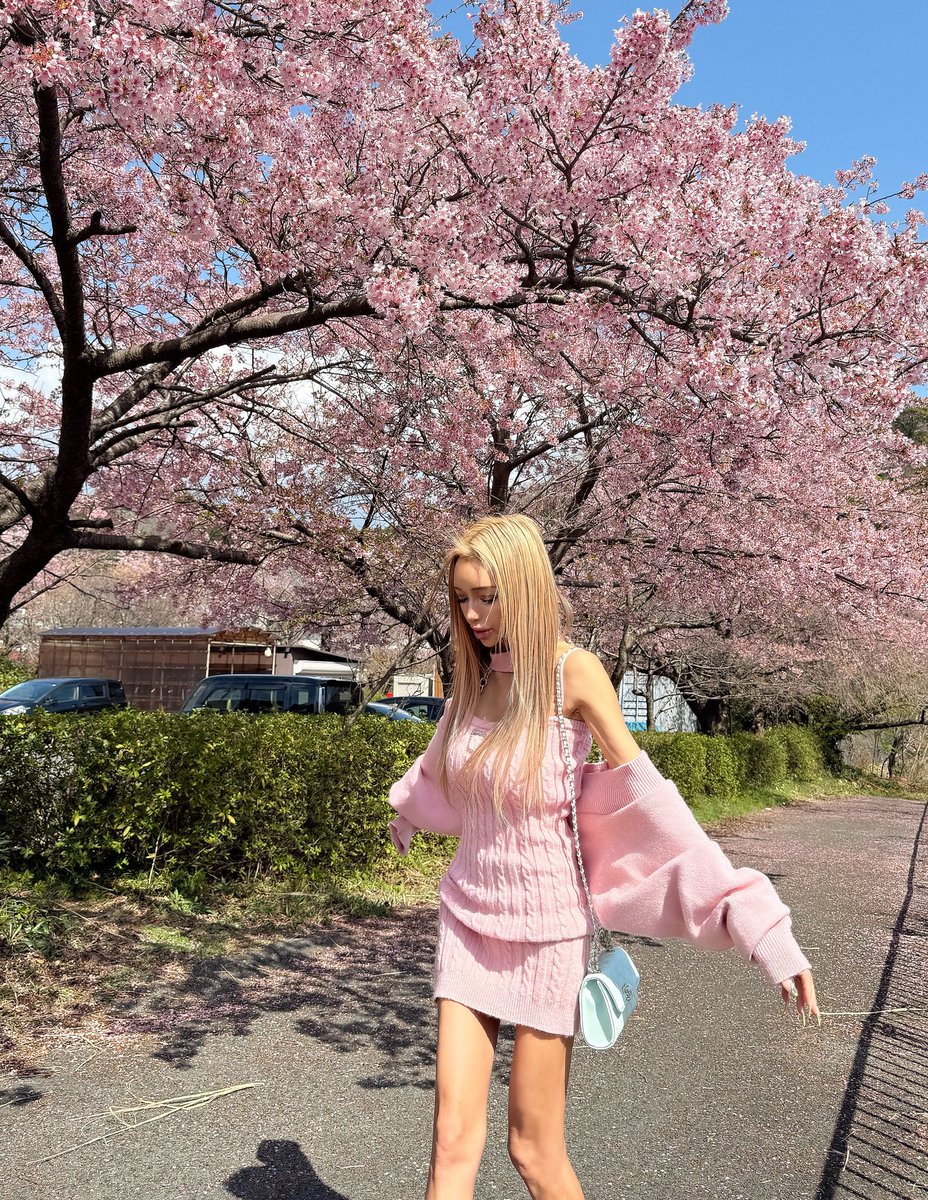 桜の命って短いよな、、🥲
この短い時間の間のために
長い月日を眠ってる

みなを幸せにしてくれてありがとう

街中にピンクが増えると
幸福度上がります✨🩷❤️

#桜