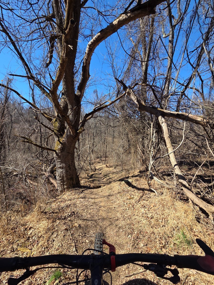 EnsoNode's tweet photo. Today was a great day to be out scanning on the #ScanforPoints app from @WorldMobileTeam . Its 65° and spring is in the air! Went mountain biking on some gnarly mountain trails here in the Appalachian! Almost 8million points!!
I also scanned my way to a martial arts class. I trained WingChun 15 years ago, now that I live in an area with an instructor, I am beginning training again. Im ready to have all the forms grafted on to my nervous system so my neuromuscular system responds automatically with coordinated reflexes. 

$WMTx #Cardano $Base $Eth $BNB $Sol