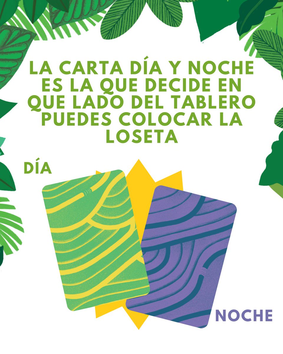 2Tomatoes_MX tweet media