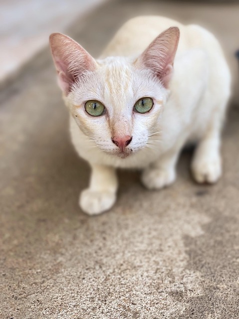 Kim Butts tweet media