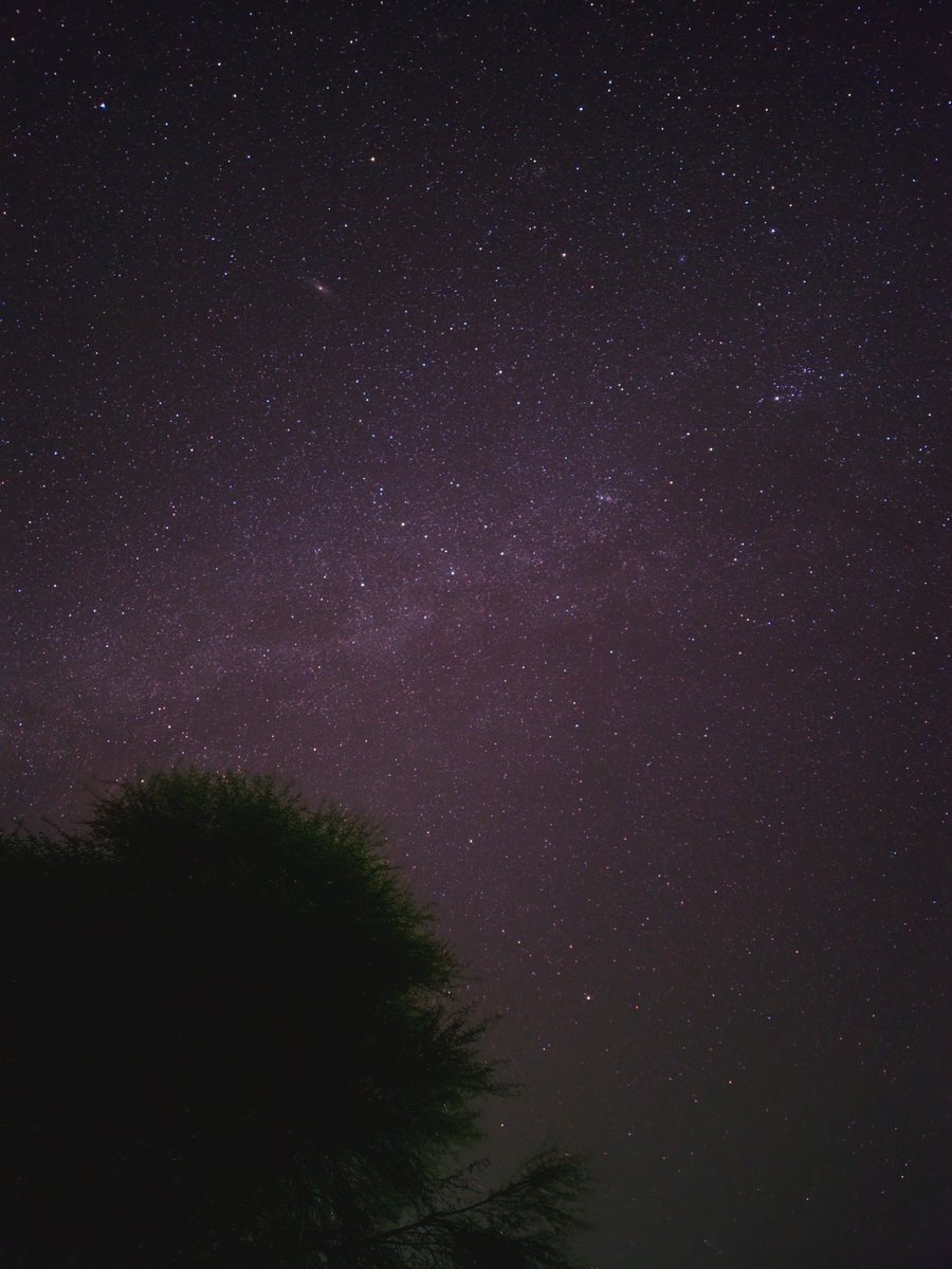 AbHaque's tweet photo. @oyeefaizi Few days ago I captured the Andromeda galaxy with my Samsung galaxy. (Ignore the purple effect lol) https://t.co/VHm0UjOwWk
