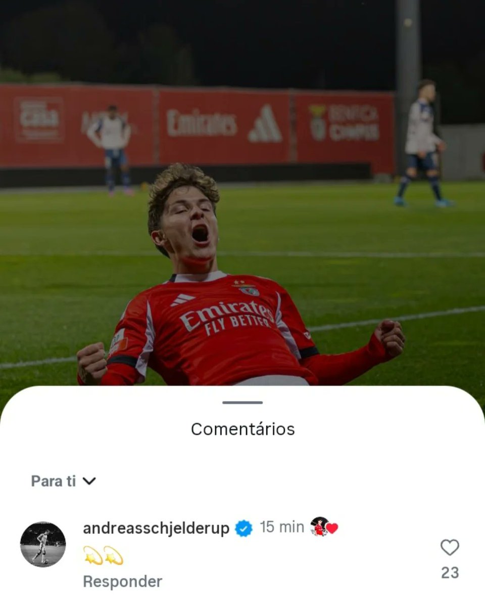 Setor Encarnado tweet media