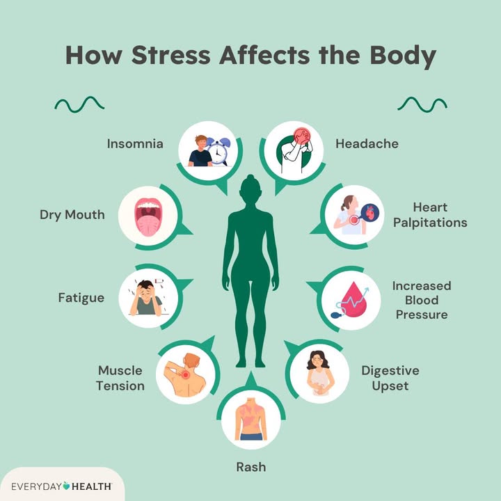 EverydayHealth's tweet image. Ever feel like #stress is taking over? It's not just in your head. Chronic stress can have some surprising effects on your body. Learn what they are and how to manage them here: bit.ly/4ap2jo4