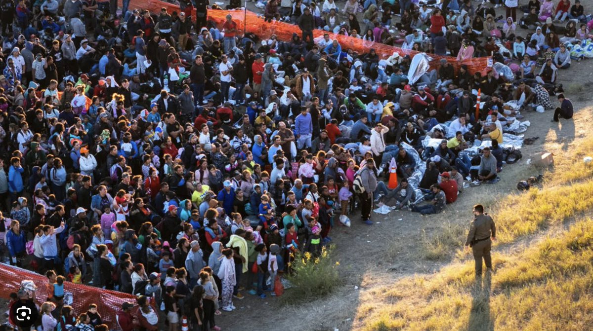 One Nation tweet media