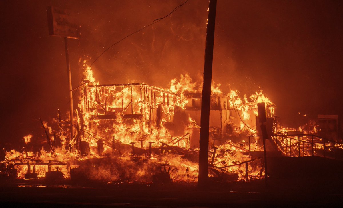 One Nation tweet media