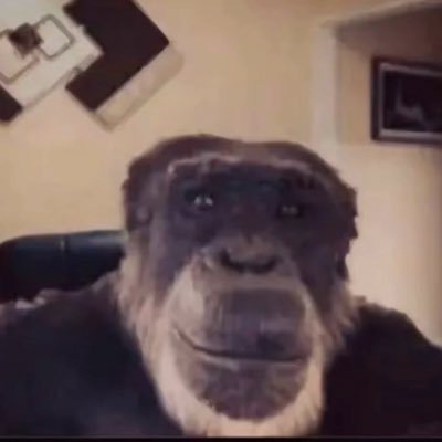 kappermanc's tweet photo. #NewProfilePic https://t.co/mEfQUYMrhE