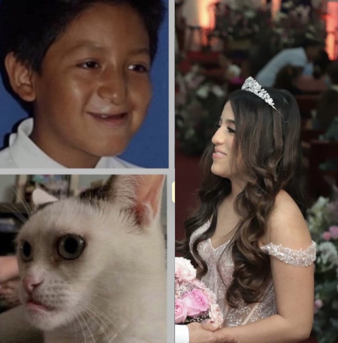 Edith 𝕏 tweet media