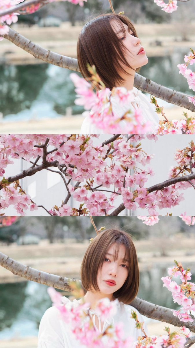 asuchan_photo's tweet photo. 🌸 https://t.co/qaNo9cQ7qw