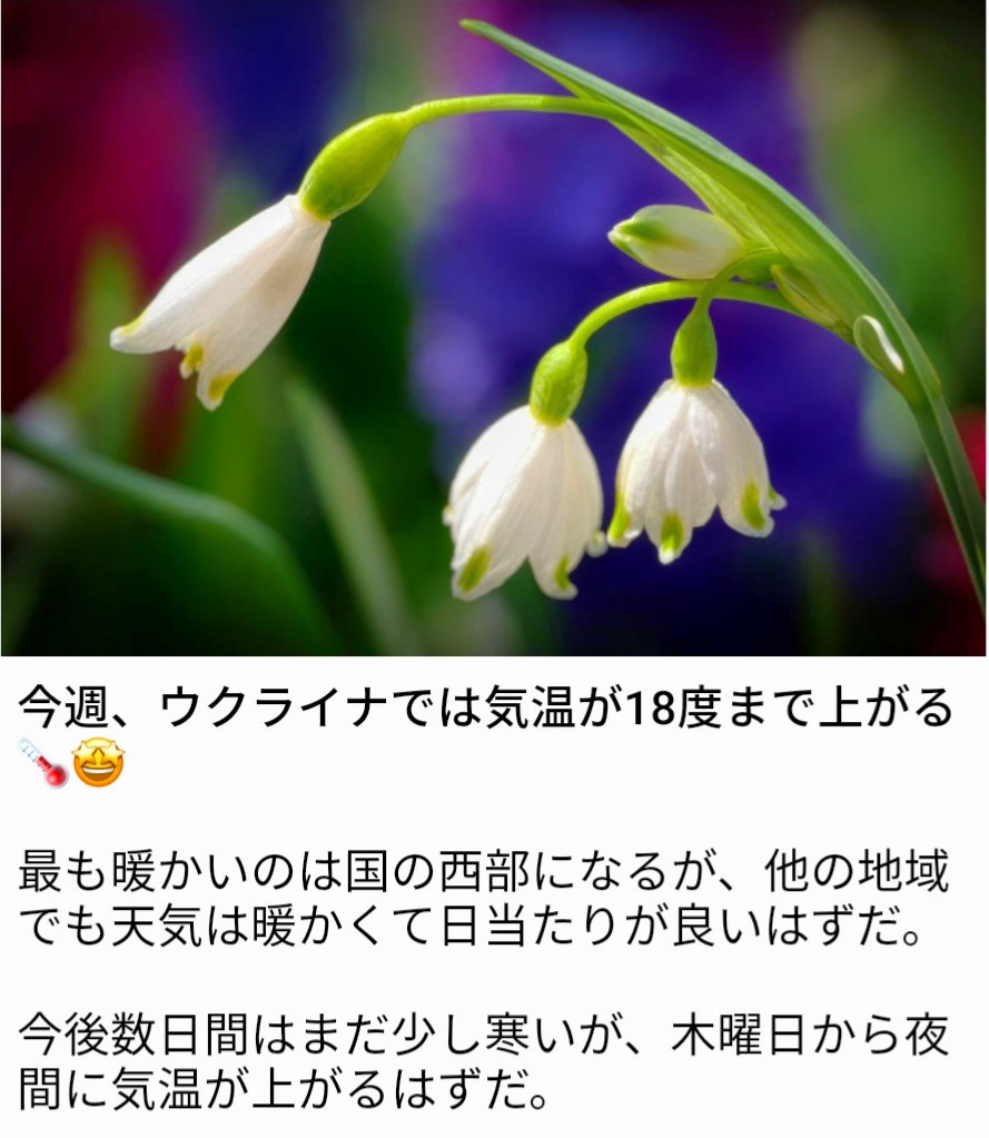 kaeru_eruta's tweet photo. ๐บ๐ฆ#Ukr_Weather ๐ฅง๐งง๐๐คฃ๐ฅง๐ฅฃ #Ukr_Spring ๐ผ https://t.co/z7x0p57e8w