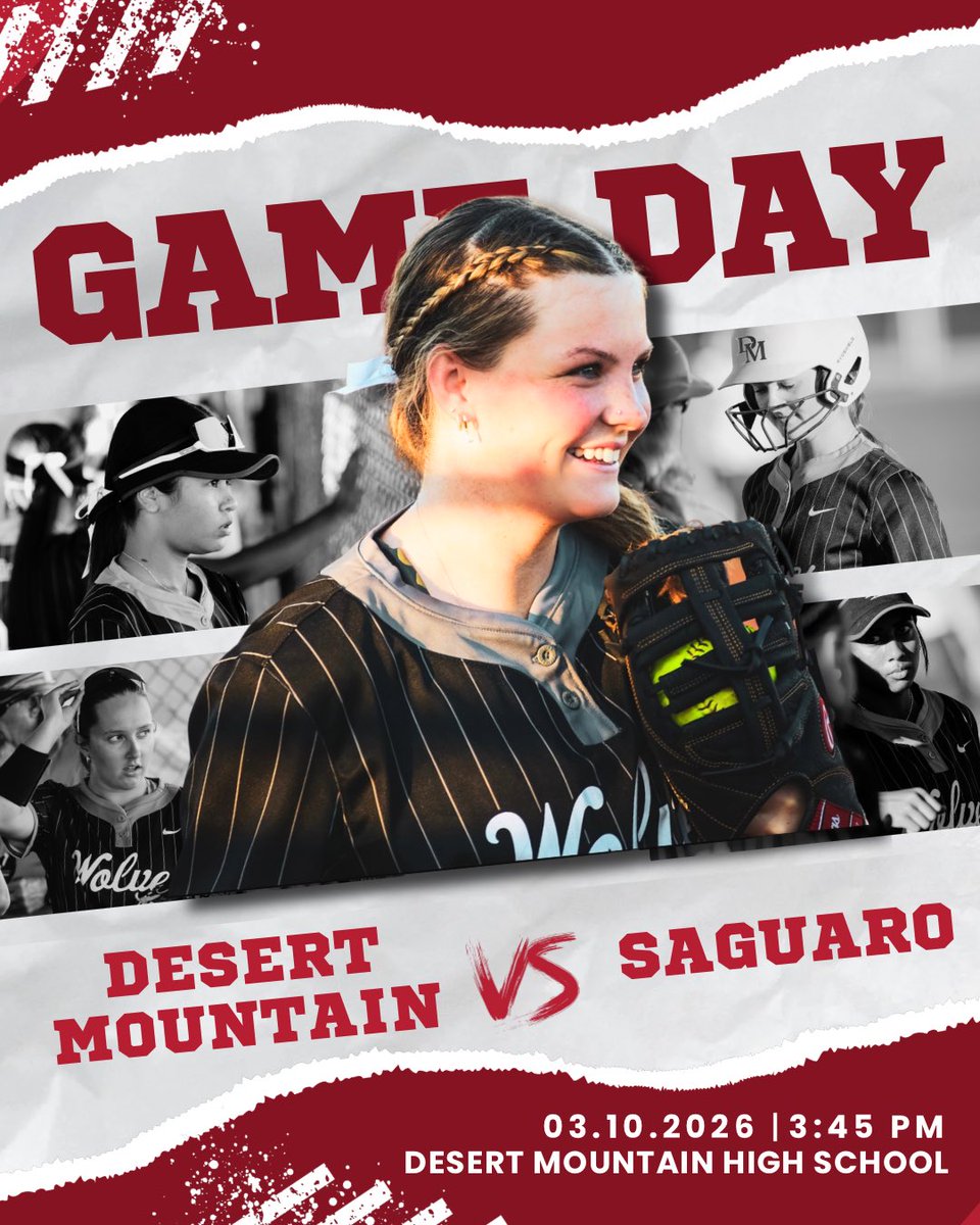 Desert Mountain High School Softball tweet media