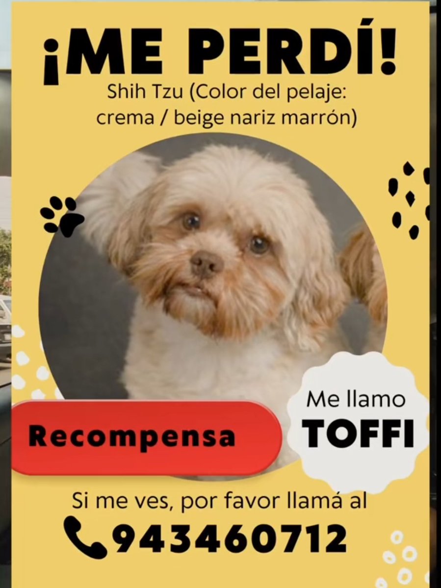 Dane Gámez tweet media