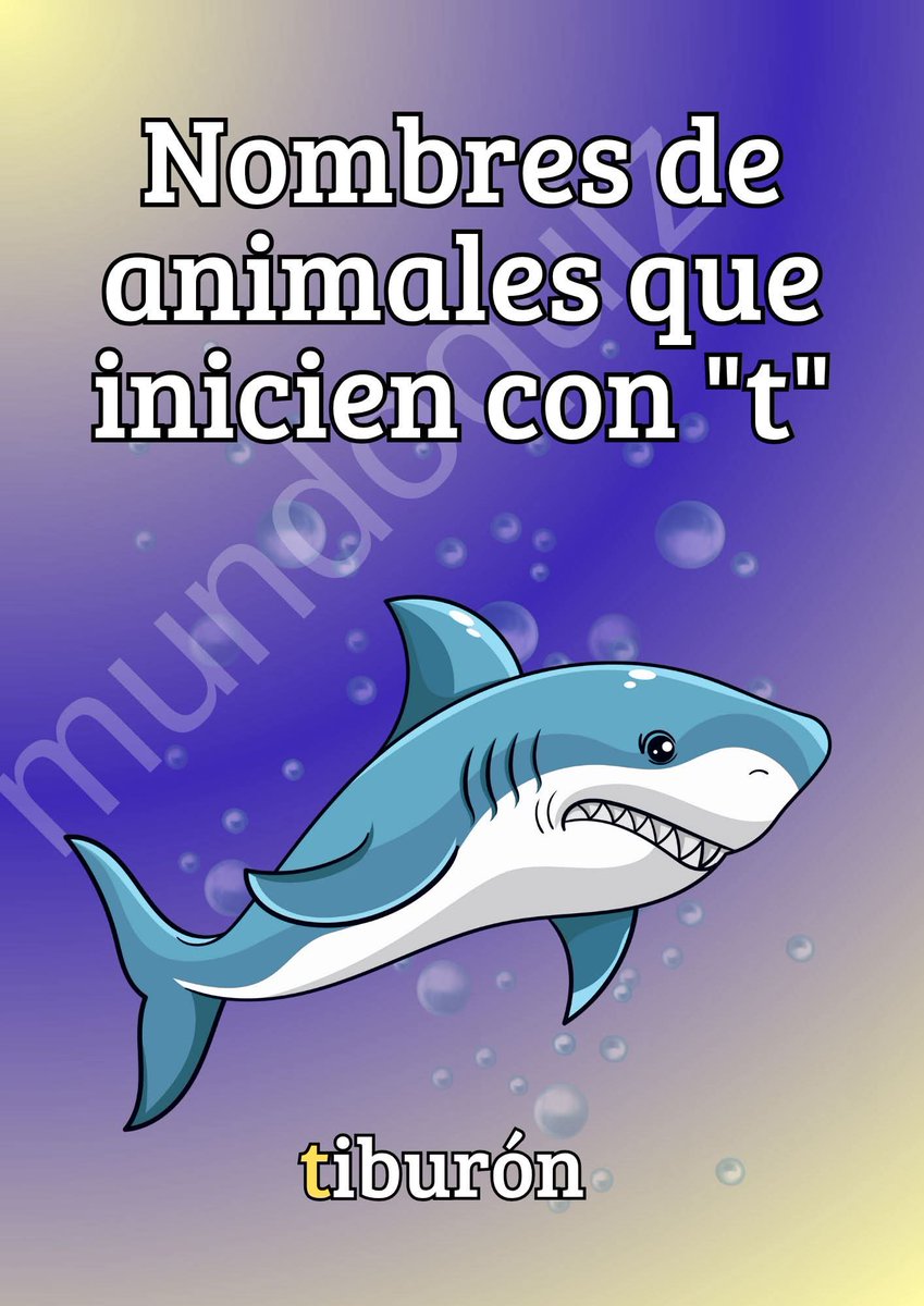 Suricato 💎 tweet media