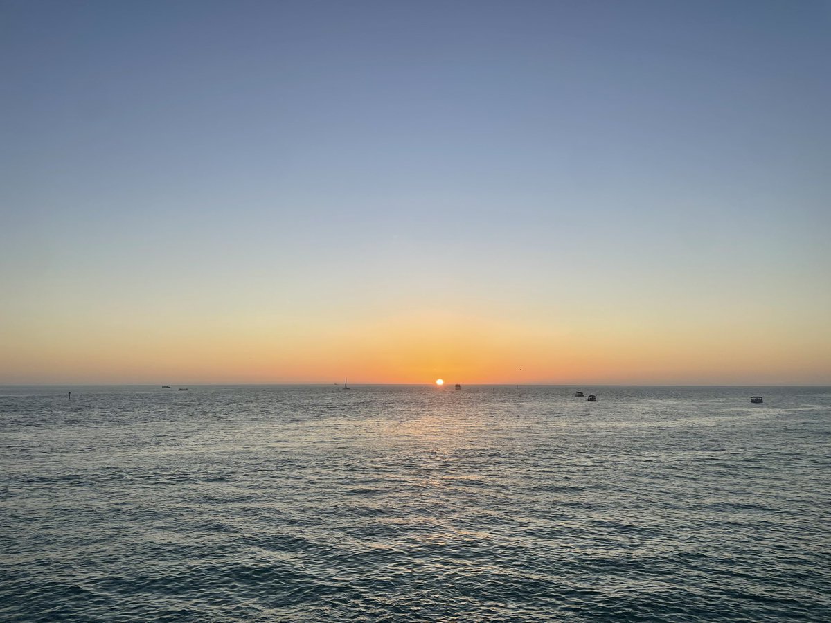 Adrian Castellano tweet media