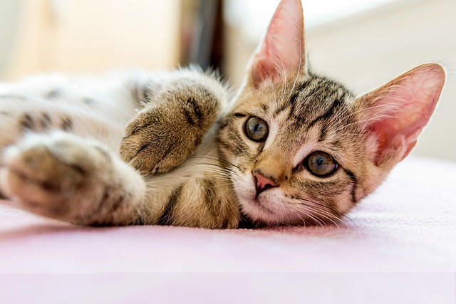 Eric Nelson tweet media