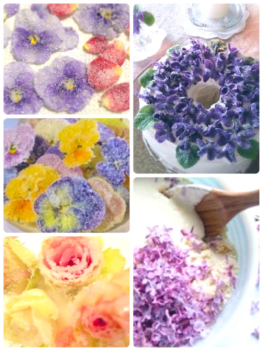 NaturalGarden紀行🌿 tweet media