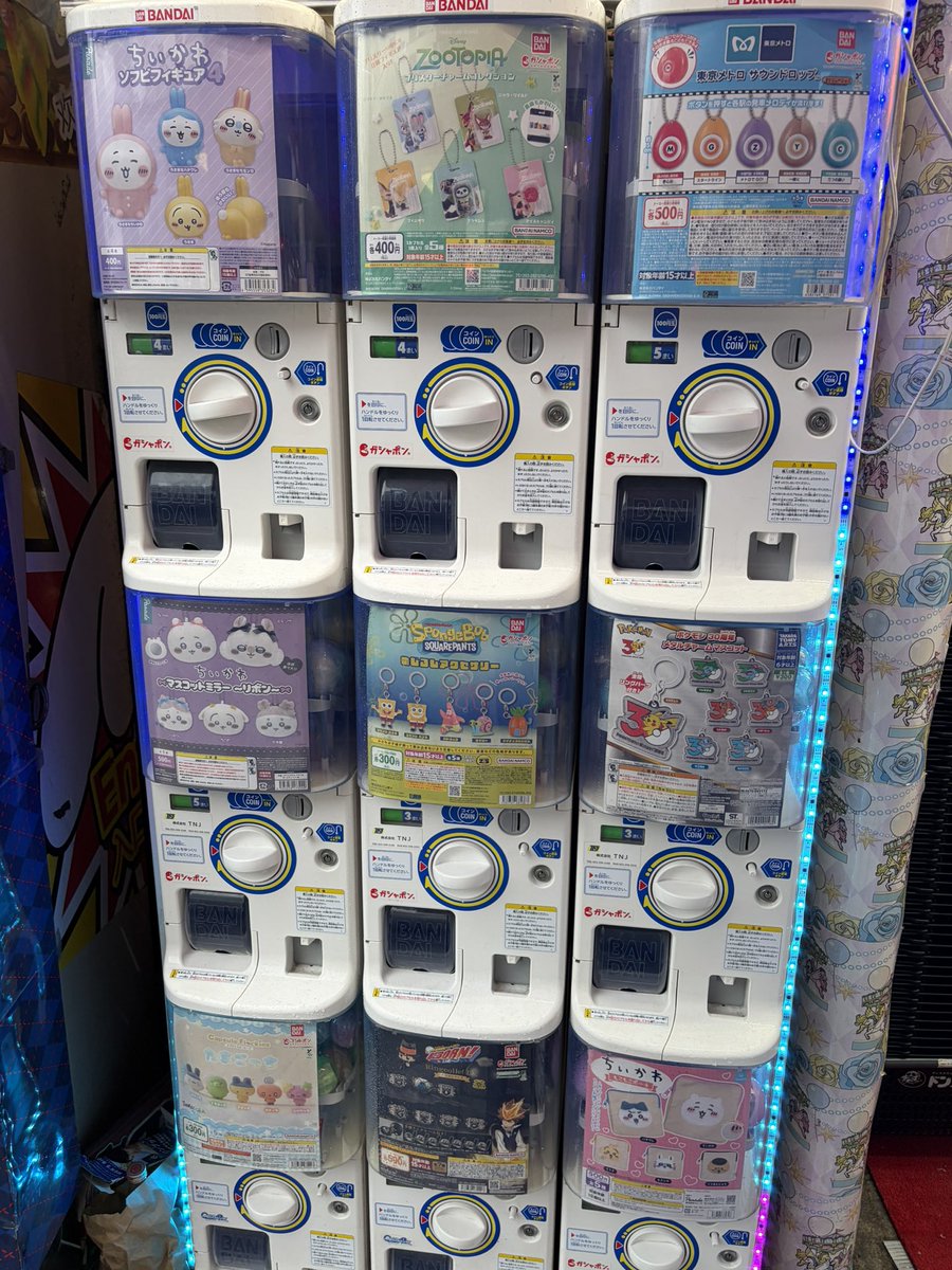 Mａｒｕｒｕ tweet media