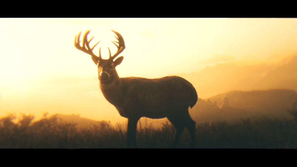 lia ⚢︎ tweet media