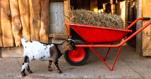 Marcello Crescentini tweet media