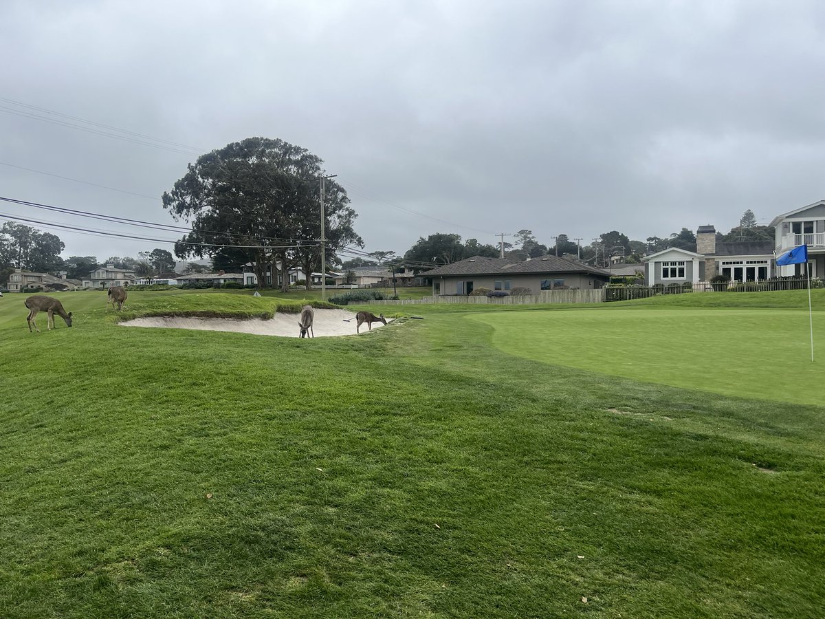 Aaron M. Moore tweet media