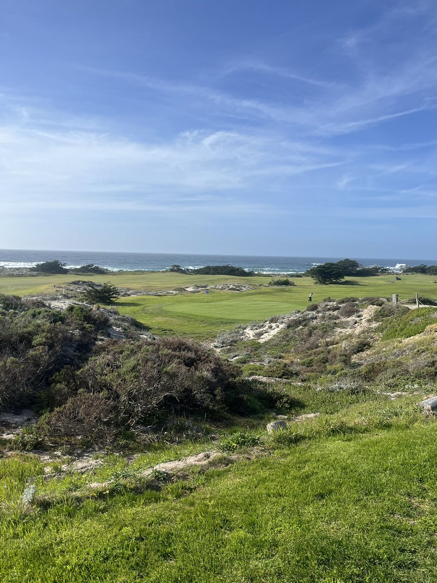 Aaron M. Moore tweet media