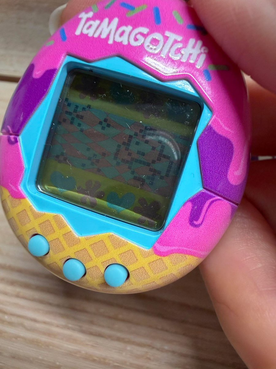 美的不明顯的姊姊 tweet media