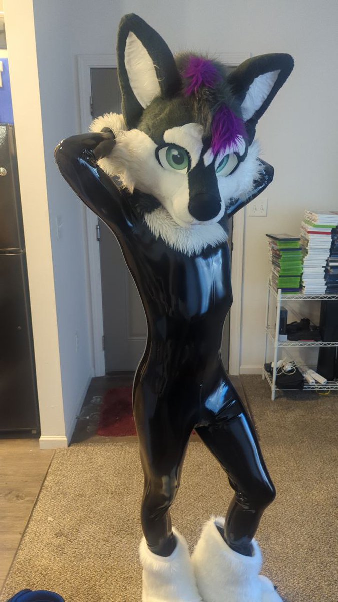 Zane the Husky tweet media