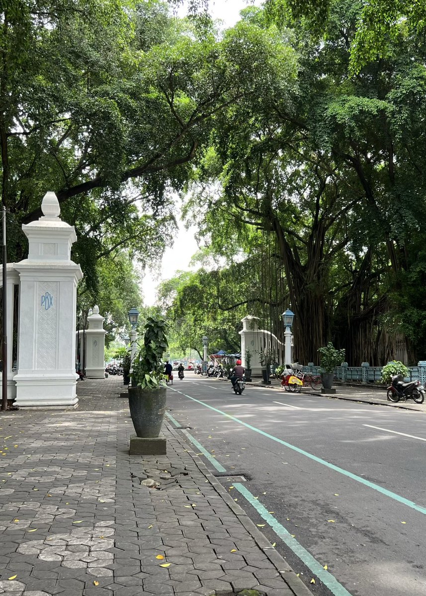 むーも tweet media