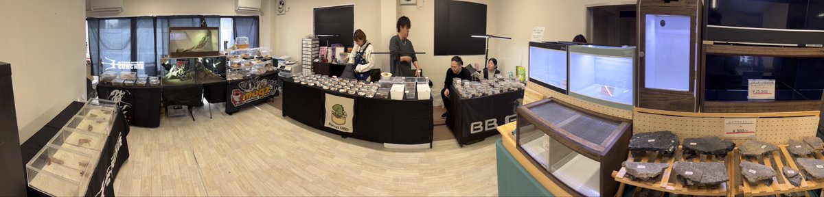 GUNGNIR ANIMALS tweet media