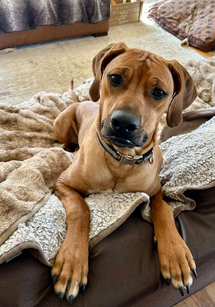 Michael Flight tweet media