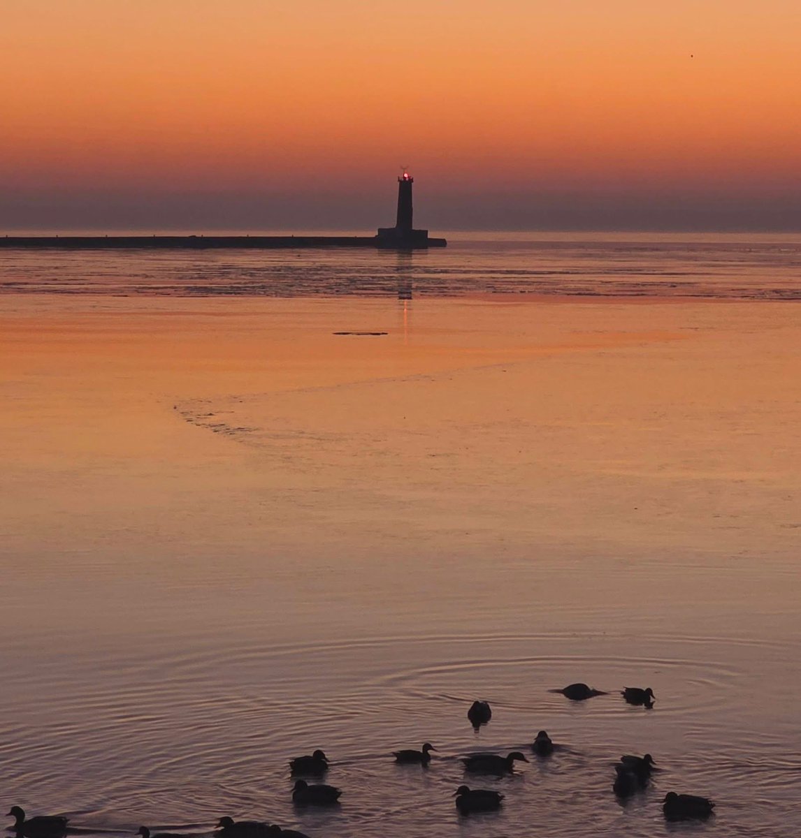 Mark the Caddie tweet media