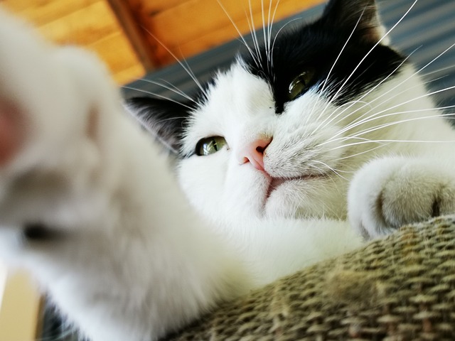 Brandon Gambel tweet media