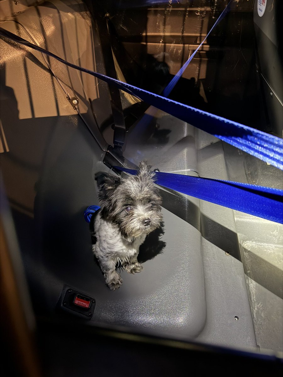 Ramapo Police Dept. tweet media