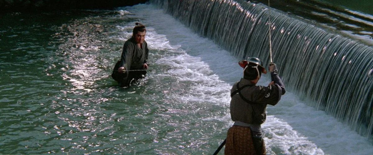 Ronald Perrone tweet media