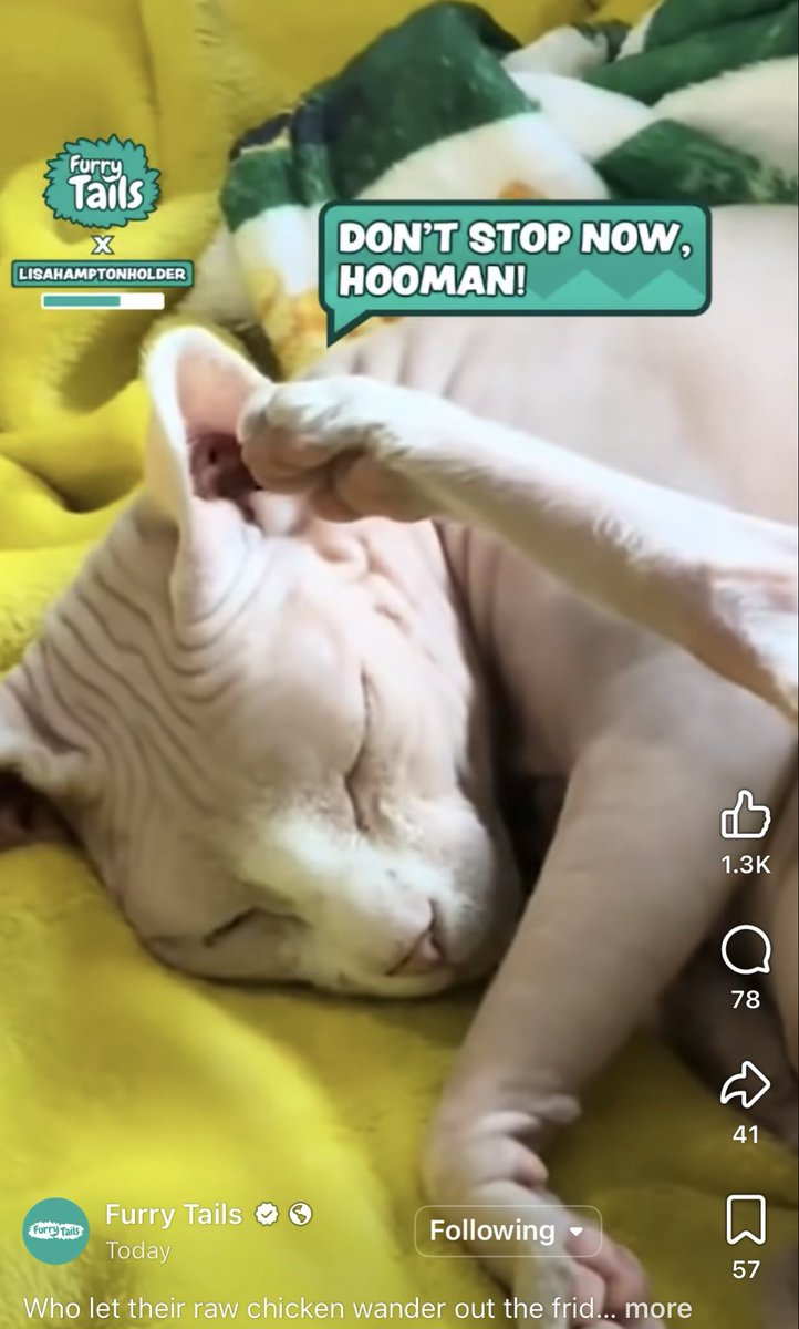 Is this you, <a href="/porkhollander/">pork hollander</a>?