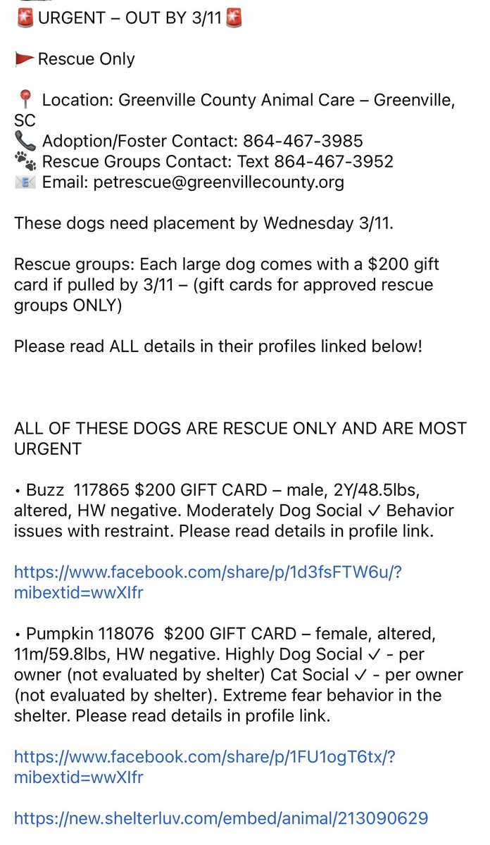 ꜱᴀᴠɪɴɢ ꜱʜᴇʟᴛᴇʀ ᴅᴏɢꜱ tweet media