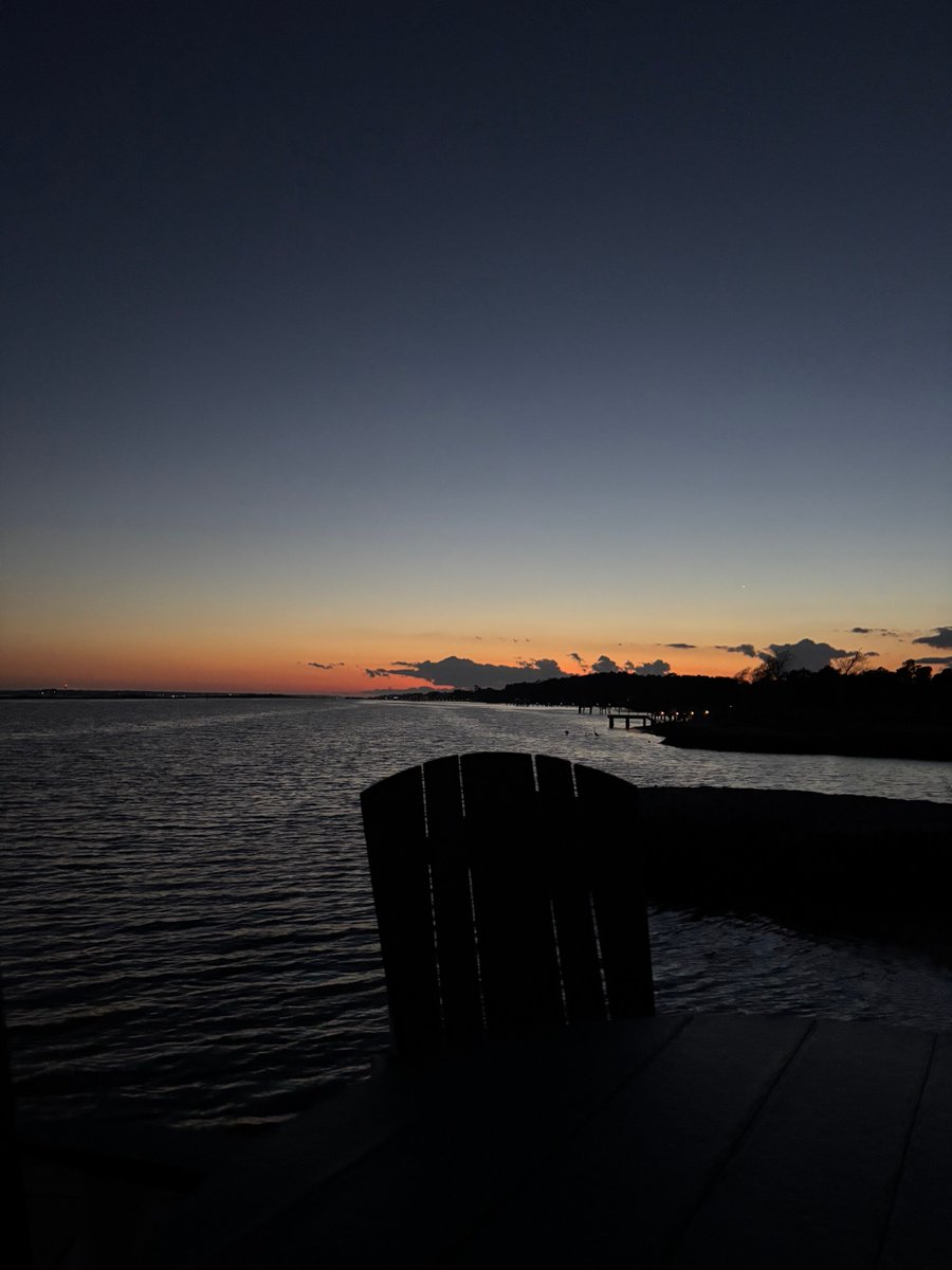 Town Hall Toad tweet media